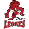 庞塞狮