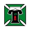 特木科女足