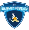 南京城市